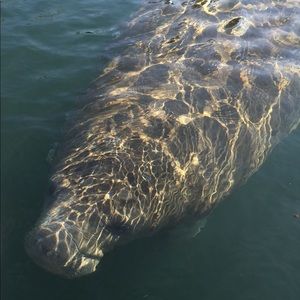 Meet your Posher, Kathi